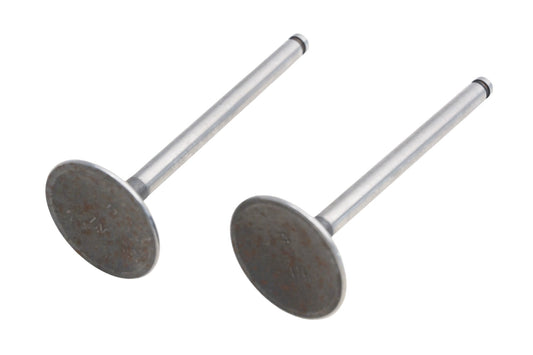 Freccia 4255694, 1102-12403 Valves Qty 2 NOS