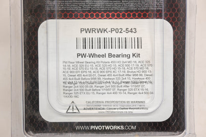 Pivot Works PWRWK-P02-543 Rear Wheel Bearing Kit NOS