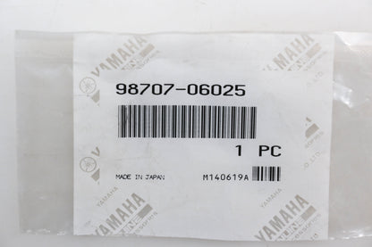 New OEM Yamaha 98707-06025-00 Flat Head Screws Qty 2 NOS