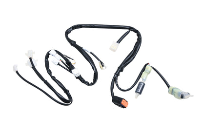 Beta 040-400110-000 Main Wiring Harness NOS