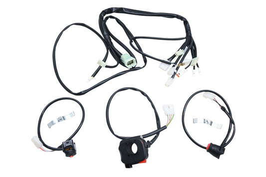 Beta AB-22050-EFI 2020+ 4 Stroke EFI Wire Loom Kit NOS