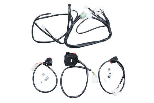 Beta AB-22050-EFI 2020+ 4 Stroke EFI Wire Loom Kit NOS