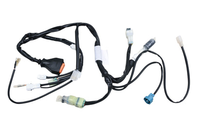 Beta 026-400580-000 Main Electric Wiring Harness NOS