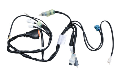 Beta 026-400580-000 Main Electric Wiring Harness NOS