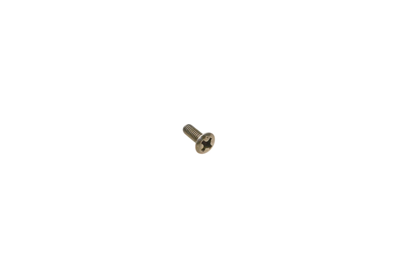 New OEM Polaris 3140065 Carburetor Plate Screw NOS