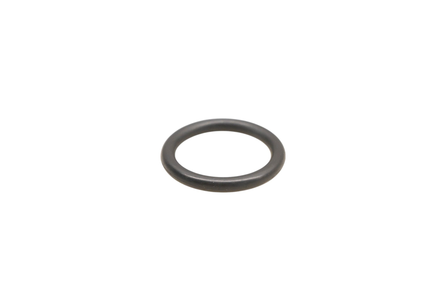New OEM Polaris 5411965 O-Ring NOS