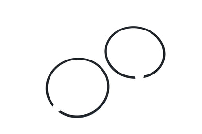 New OEM Polaris 2201631 Piston Ring Kit NOS