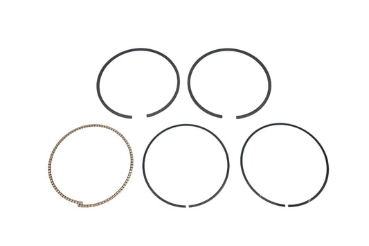 New OEM Polaris 2202920 Piston Ring Kit NOS