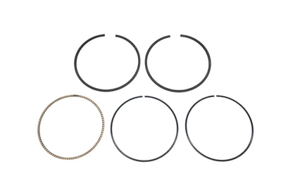 New OEM Polaris 2202920 Piston Ring Kit NOS