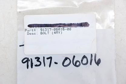 New OEM Yamaha 91317-06016-00 Socket Head Bolts Qty 2 NOS