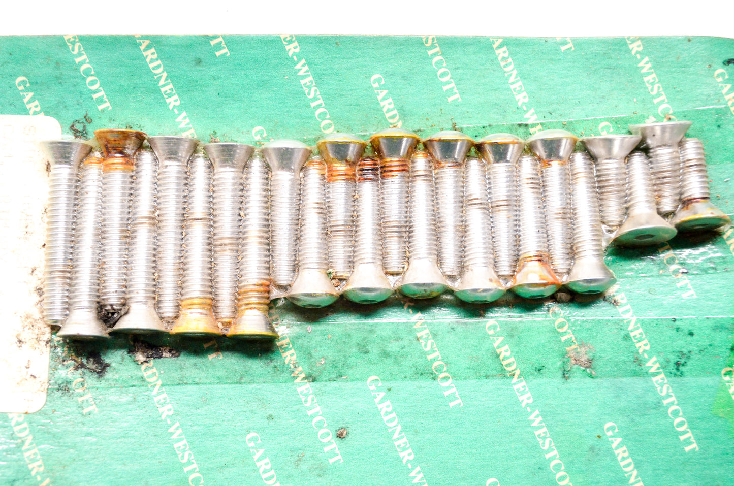 Side Cover Cam Primary Chain Screw Kit Harley Davidson NOS