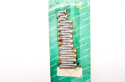 Side Cover Cam Primary Chain Screw Kit Harley Davidson NOS