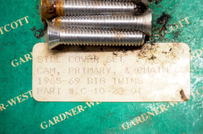 Side Cover Cam Primary Chain Screw Kit Harley Davidson NOS