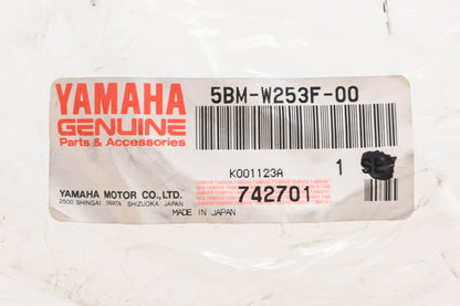 New OEM Yamaha 5BM-W253F-00-00 Brake Shoe Kit NOS