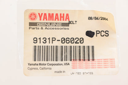 New OEM Yamaha 9131P-06020-00 Allen Head Screws Qty 3 NOS