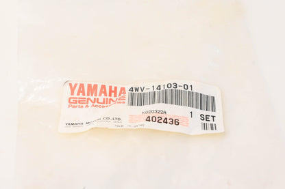 New OEM Yamaha 4WV-14103-01-00 Throttle Screw Set NOS