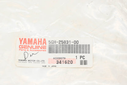 New OEM Yamaha 5GH-25831-00-00 Brake Disc NOS