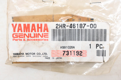 New OEM Yamaha 2HR-46187-00-00 Front Differential Spider NOS