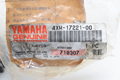 New OEM Yamaha 4XM-17221-00-00 Wheel Gear #2 NOS