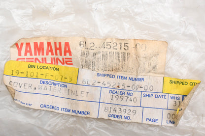 New OEM Yamaha 6L2-45215-00-00 Water Inlet Cover NOS