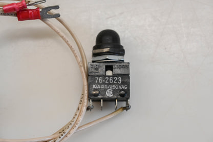 Licon 76-2623 10A-125/250V Switch Assembly NOS