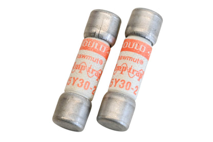 Gould A5Y30-2 30A-500V Fuses Qty 2 NOS