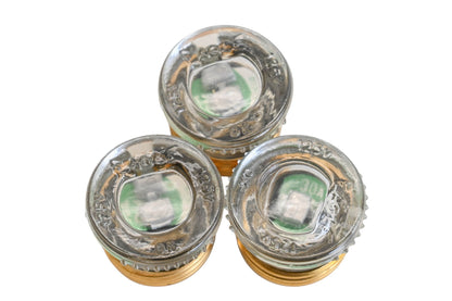 Gould GTL30 30A-125V Plug Fuses Qty 3 NOS