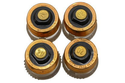 Gould GTL20 20A-125V Plug Fuses Qty 4 NOS