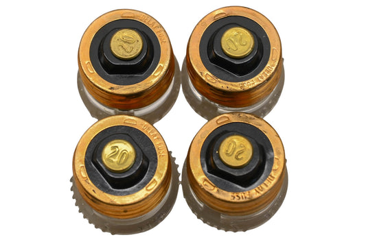 Gould GTL20 20A-125V Plug Fuses Qty 4 NOS