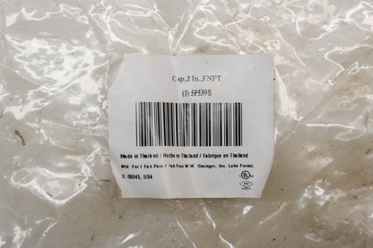 Aftermarket 5P539B 2" Black Iron Pipe Cap NOS