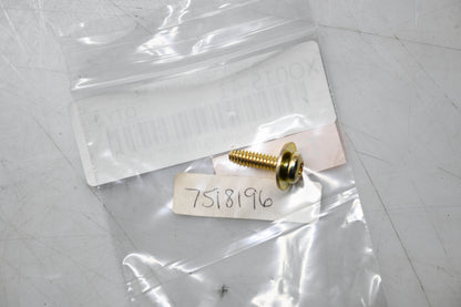 New OEM Polaris 7518196 Torx Screw With Washer Qty 2 NOS