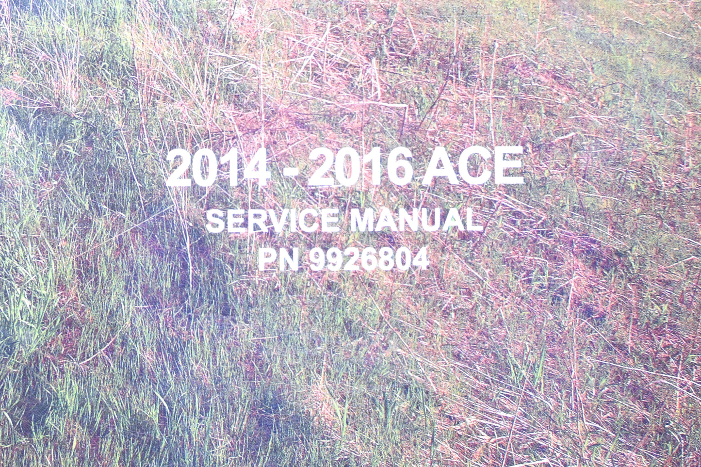 OEM Polaris 9926804 14-16 Ace Service Manual