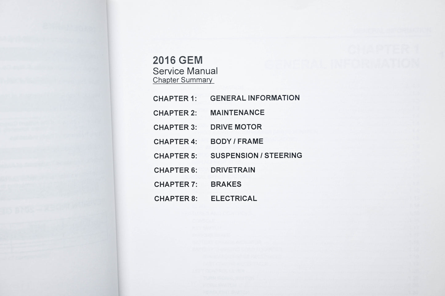 OEM Polaris 9926503 GEM E2 E4 E6 Service Manual