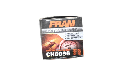 Fram CH6096 Oil Filter NOS