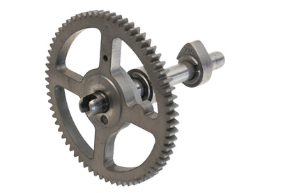 New OEM Briggs & Stratton 793880 Camshaft Assembly NOS