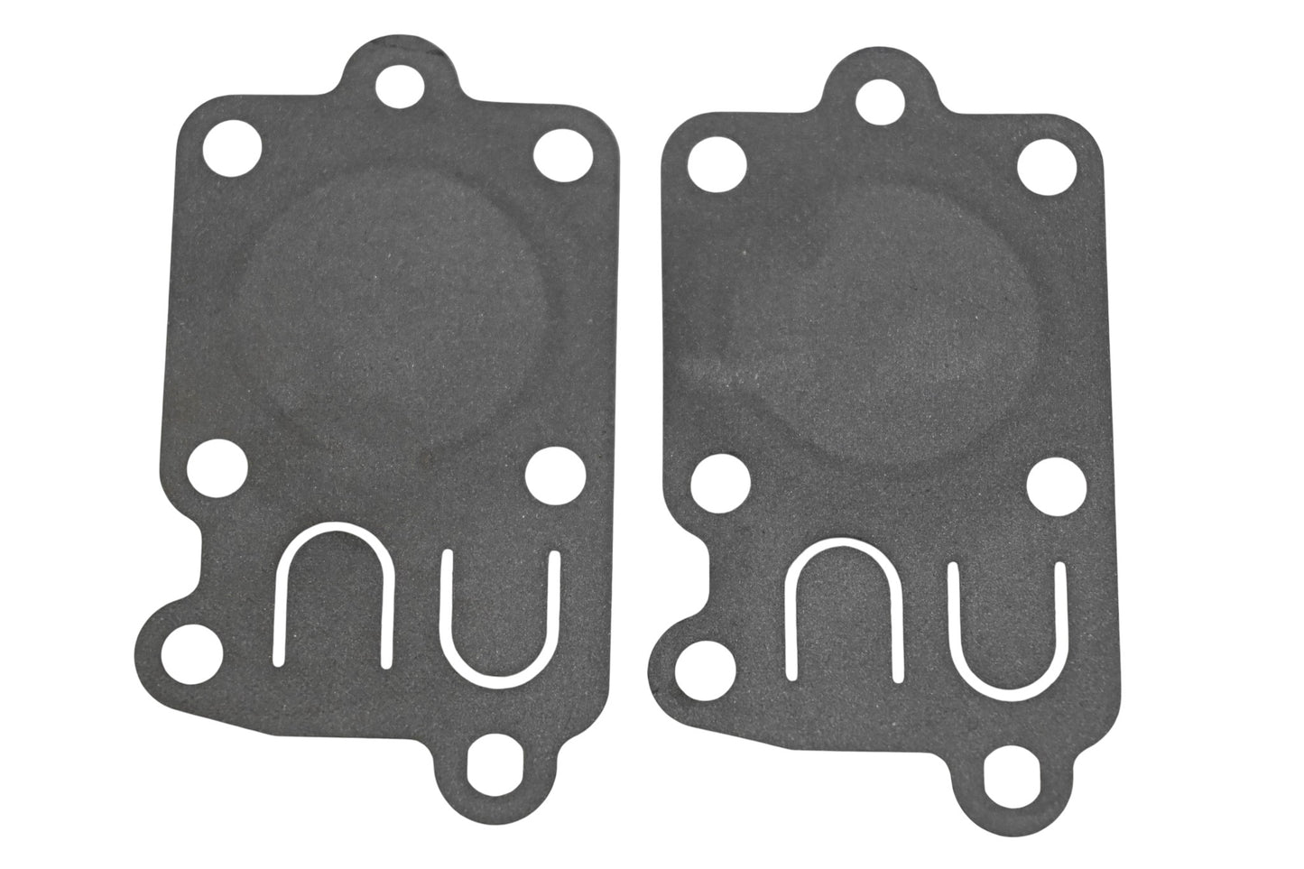 Rotary 22-8364, 272538S, 272538 Diaphragm Gaskets Qty 2 NOS