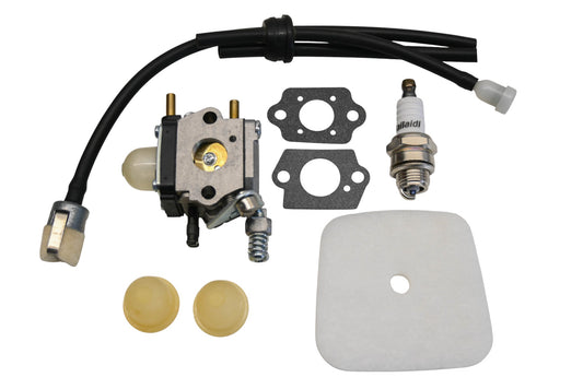 Hipa C1U-K54A Carburetor Kit NOS