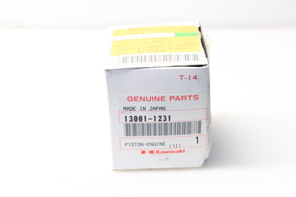 New OEM Kawasaki 13001-1231 Piston Ring Kit NOS