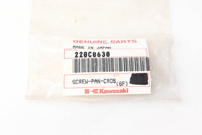 New OEM Kawasaki 220C0630 Pan Head Screw NOS