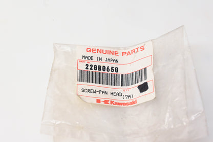 New OEM Kawasaki 220B0650 Pan Head Screw NOS