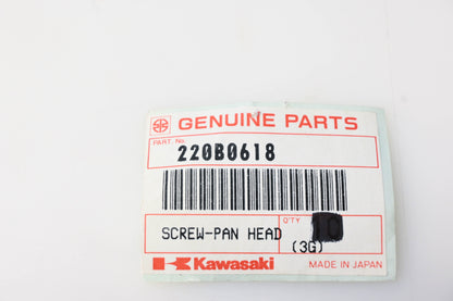 New OEM Kawasaki 220B0618 Pan Head Screw NOS