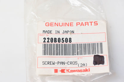 New OEM Kawasaki 220B0508 Cross Pan Screws Qty 2 NOS