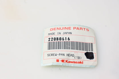New OEM Kawasaki 220B0616 Pan Head Screw NOS