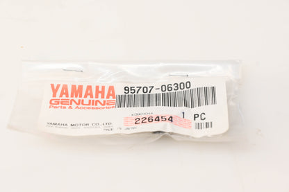 New OEM Yamaha 95707-06300-00 Flanged Nuts Qty 2 NOS