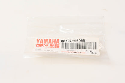 New OEM Yamaha 98507-06065-00 Pan Head Screw NOS