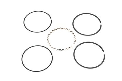 New OEM Yamaha 2F1-11610-10-00 Piston Ring Kit NOS