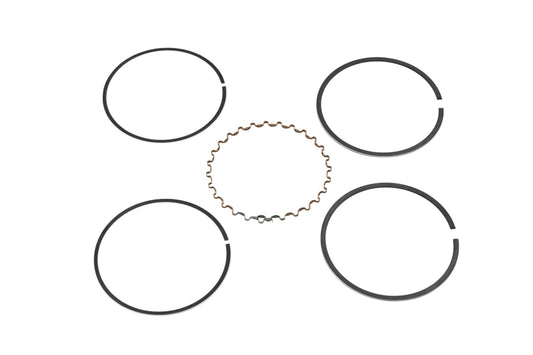 New OEM Yamaha 2F1-11610-10-00 Piston Ring Kit NOS