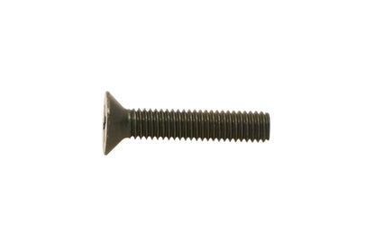 New OEM Yamaha 98707-06030-00 Flat Head Screw NOS
