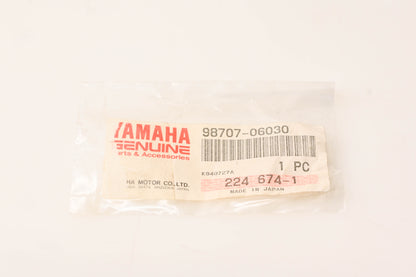 New OEM Yamaha 98707-06030-00 Flat Head Screw NOS
