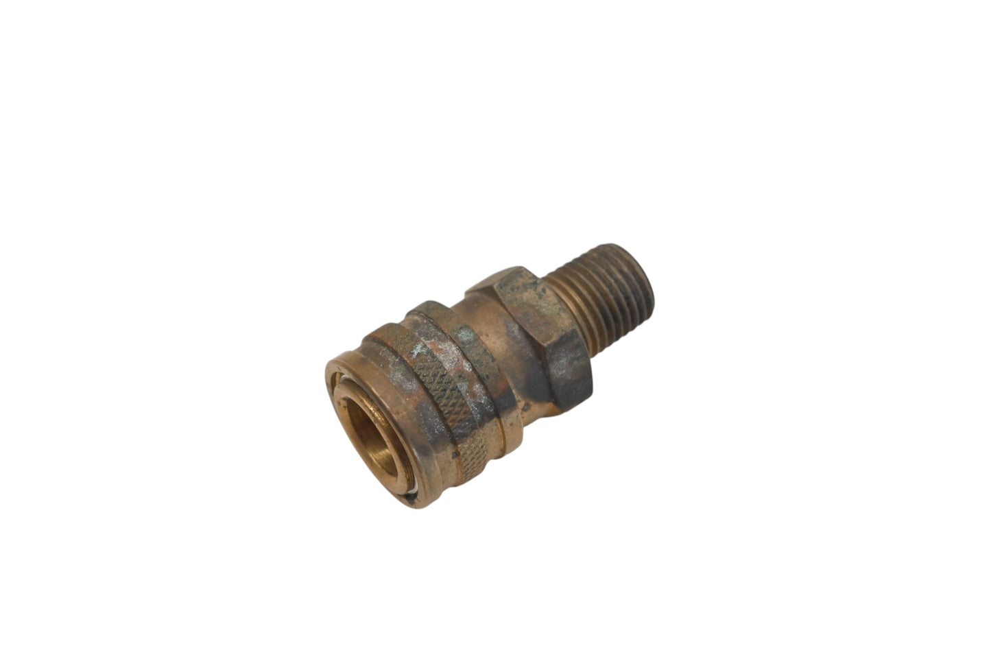 Rotary 48-9419 1/4" MPT Brass Socket NOS